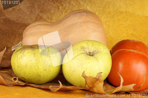 Image of Autumn still life