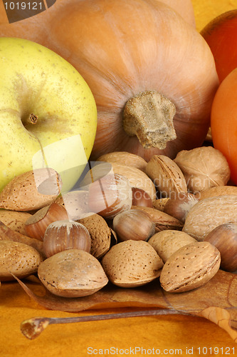 Image of Autumn still life