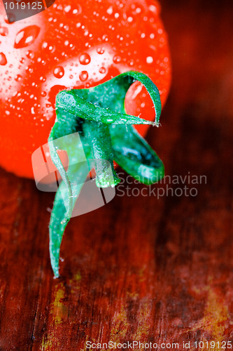 Image of wet tomato 