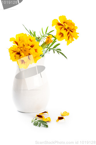 Image of marigold flowers in vase