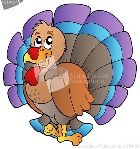 Image of Happy cartoon turkey
