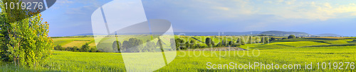 Image of Panoramic landscape with green fields and trees