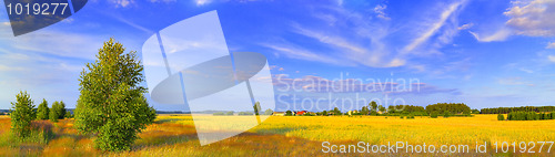 Image of Panoramic rural landscape with birch and picturesque sky