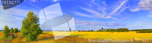 Image of Panoramic rural landscape with birch and picturesque sky