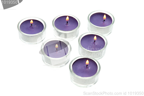 Image of Purple candles