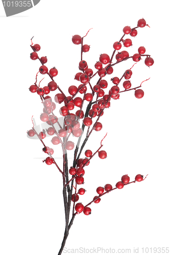 Image of Christmas arrangement