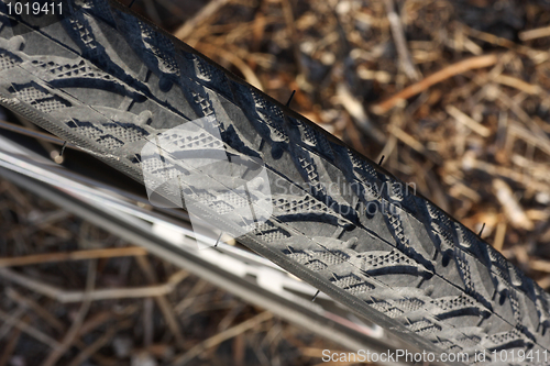 Image of Bicycle Wheel