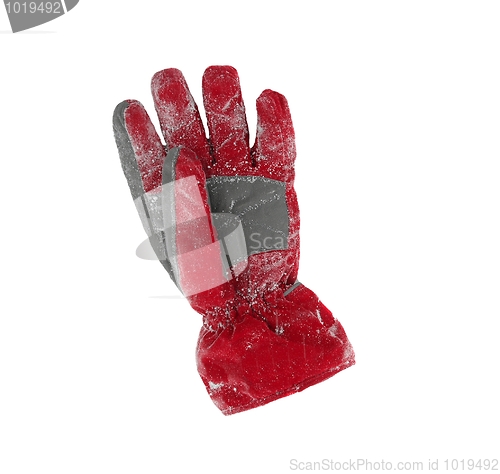 Image of Gloves