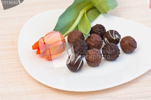 Image of Chocolates and tulip on a white plate