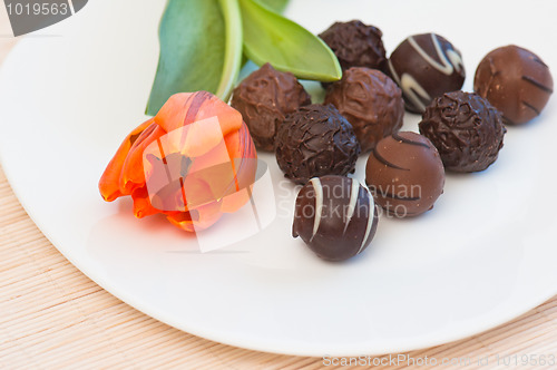 Image of Chocolates and tulip on a white plate