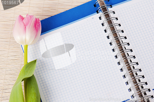 Image of Open notebook and tulip
