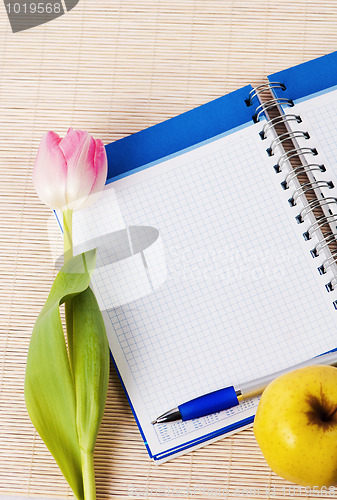 Image of Open notebook, yellow apple and pencil 