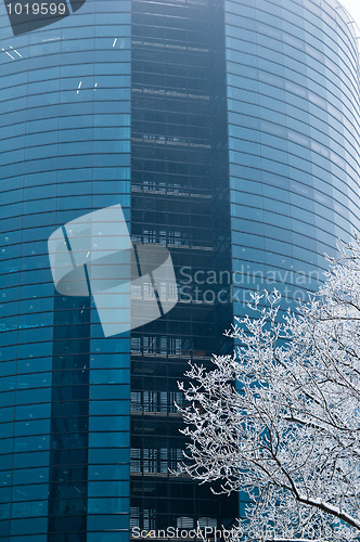 Image of Skyscrapers in a fog 