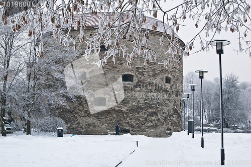 Image of The park covered by a snow in Tallinn 