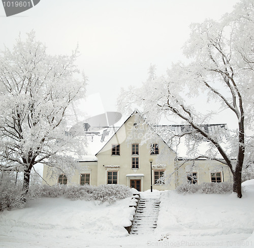 Image of  The trees covered by hoarfrost at the old house