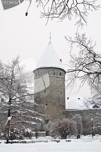 Image of The park covered by a snow in Tallinn 