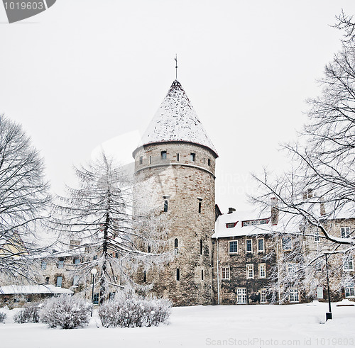 Image of The park covered by a snow in Tallinn 