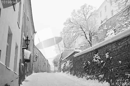 Image of Street of city of Tallinn 