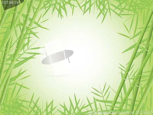 Image of bamboo background