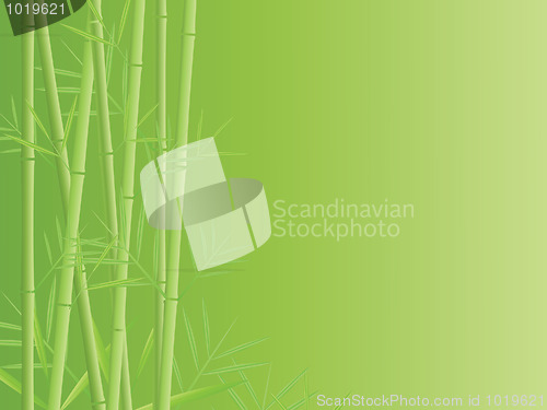 Image of bamboo background