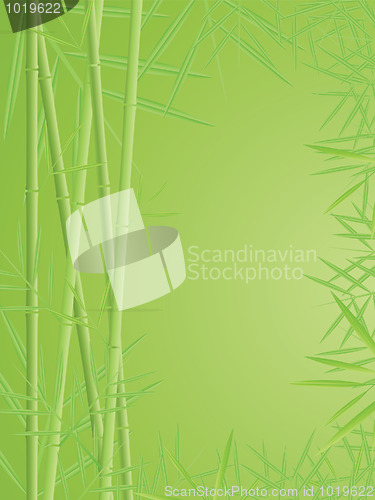 Image of bamboo background