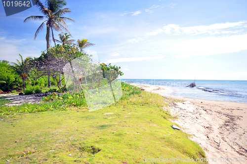 Image of undeveloped beach property Corn Island Nicaragua