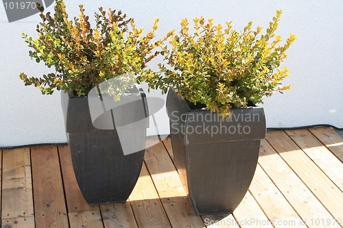 Image of Pots with box
