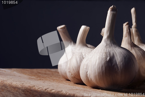 Image of Garlic