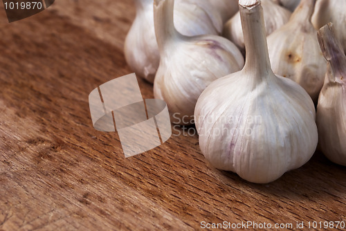 Image of Garlic