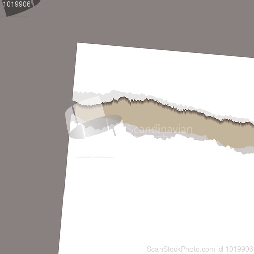 Image of torn paper reveal rustic