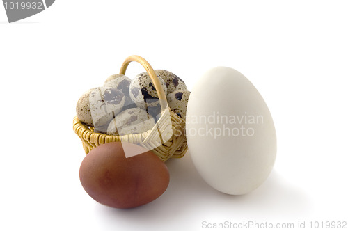 Image of Has sung eggs in a basket