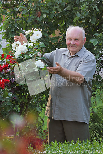 Image of Grower of roses