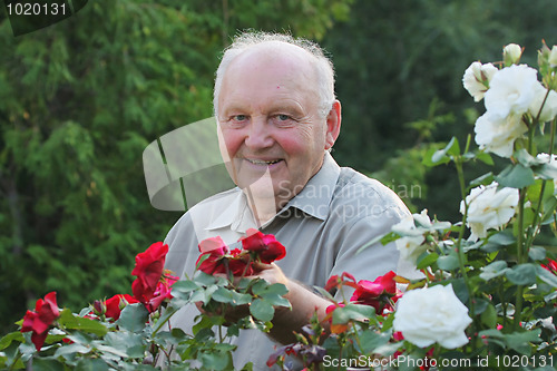 Image of Portrait of grower of roses