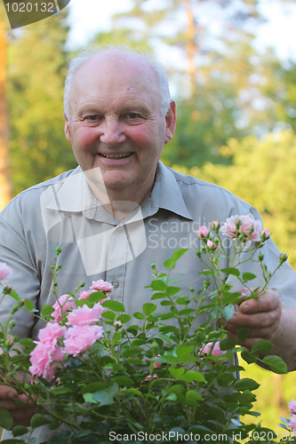 Image of Grower of roses
