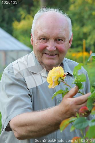 Image of Grower of roses