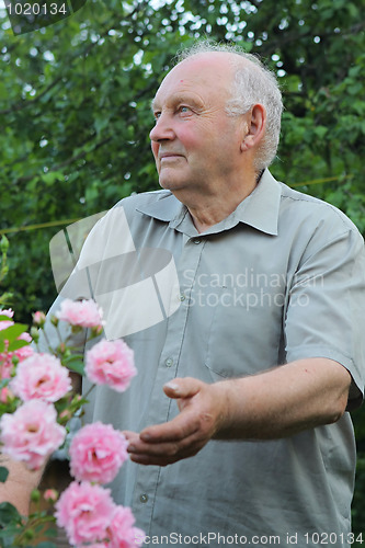 Image of Grower of roses