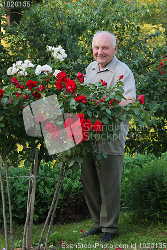 Image of Grower of roses