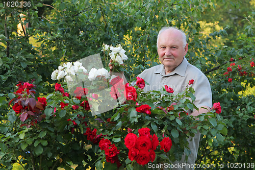 Image of Grower of roses