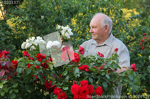 Image of Grower of roses