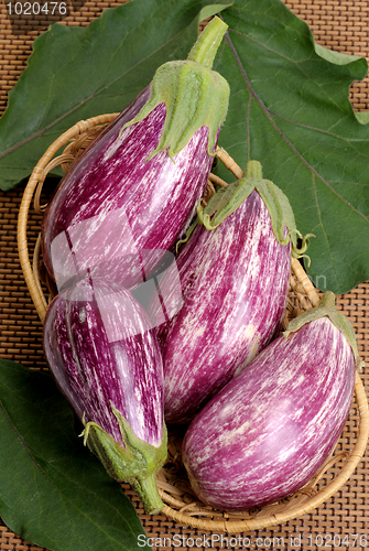 Image of Eggplants.