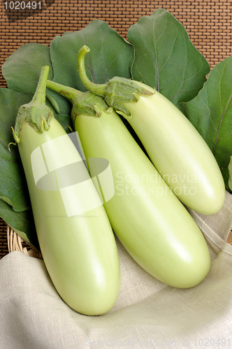 Image of Eggplants.