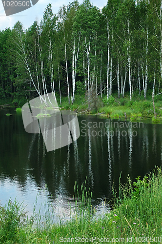 Image of Lake in the forest.