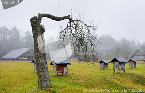 Image of Morning in the village 