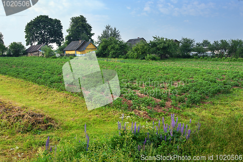 Image of Rural landscape