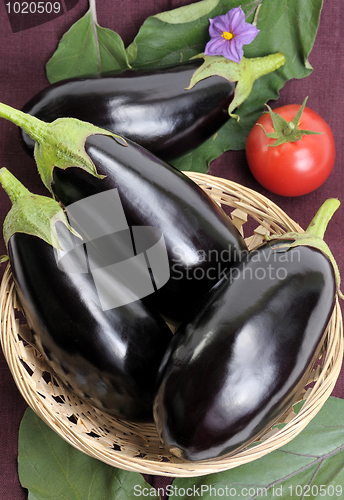 Image of Eggplants.