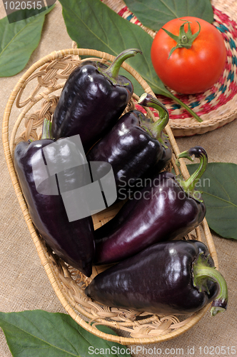 Image of Black sweet pepper