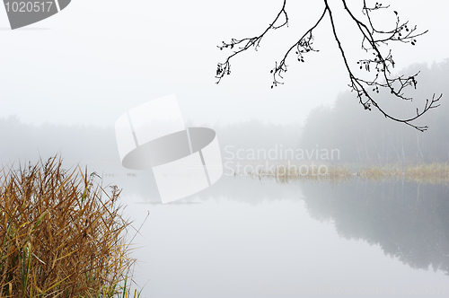 Image of Autumn morning