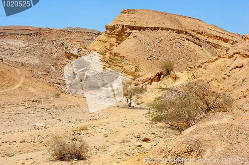 Image of Makhtesh Ramon