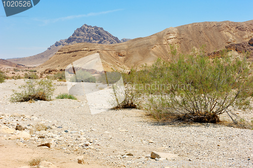 Image of Makhtesh Ramon, mountain "dragon's teeth"