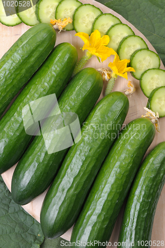 Image of Cucumbers